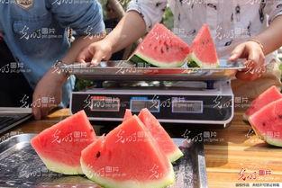 吃瓜爆料山东教室,揭秘校园里的那些事儿