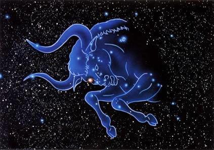 吃瓜金牛座,揭秘星座美食家的独特品味