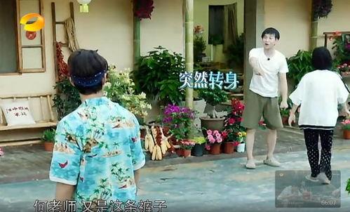 如皋吃瓜事件真相,揭秘背后真相与反思