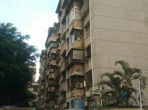 翠湖小区吃瓜,吃瓜群众的热闹日常