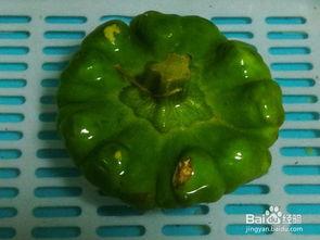 云南姜饼瓜怎么吃,传统美食的独特风味与食用指南