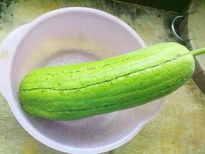 长水瓜咋吃,长水瓜的多样食用方法探索