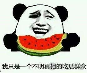 韩国吃瓜犯法吗,吃瓜群众需谨慎，吃瓜犯法真相揭秘