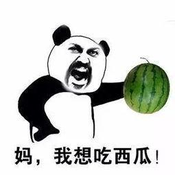 吃瓜吃死的,竟致悲剧发生！揭秘“吃瓜吃死”背后的惊人真相