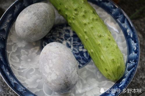 瓜能煮啥吃,探索瓜类食材的多样烹饪方式