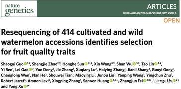 小迪吃瓜的论文,揭秘网络时代下的“吃瓜群众”现象