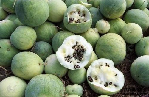 吃瓜的黄金之年,揭秘娱乐圈风云变幻