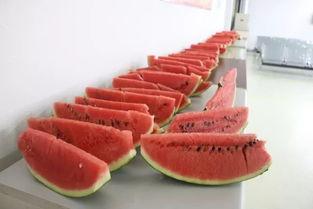 新广场吃瓜,揭秘热门话题背后的真相与笑料