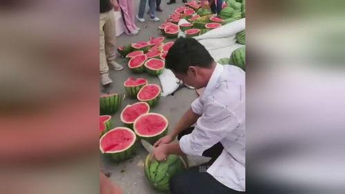 多人现场吃瓜,众人共享瓜果盛宴，欢乐氛围弥漫