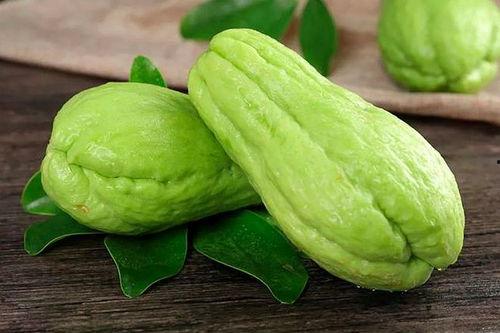 吃脂必泰能吃佛手瓜吗