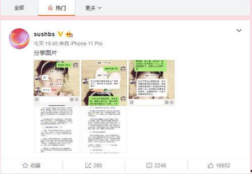 吃瓜成人网站,成人网站背后的社会现象解析