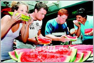 吃瓜比赛搞笑老外,中西文化碰撞的欢乐瞬间