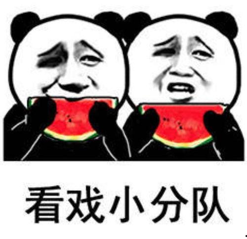 过年吃瓜表情包