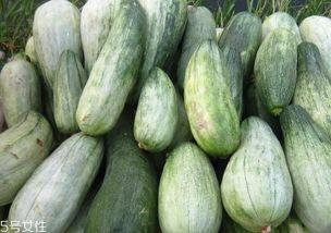 什么瓜能熟吃,揭秘熟吃瓜果的奥秘