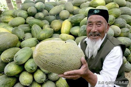 专吃哈密瓜,专吃哈密瓜的味蕾盛宴