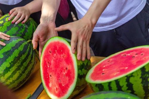 最近大学吃瓜,揭秘近期大学吃瓜事件背后的真相