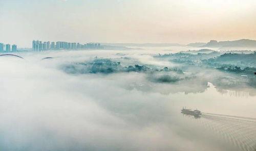 吃瓜川渝,吃瓜群众的味蕾之旅