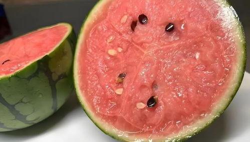 红色吃瓜,揭秘娱乐圈的“瓜田”风云