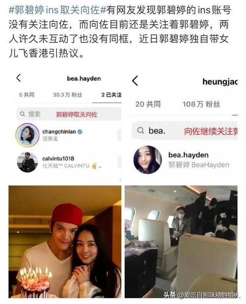 吃瓜大美直播,揭秘网红幕后生活