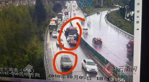 公路司机吃瓜,瓜果飘香，一路畅行