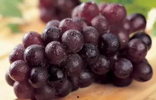 吃瓜吐葡萄皮,吃瓜吐葡萄皮，品味生活百态