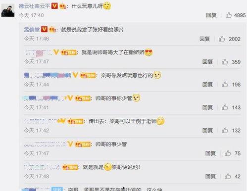 交友吃瓜评论区,评论区里的欢乐与争议