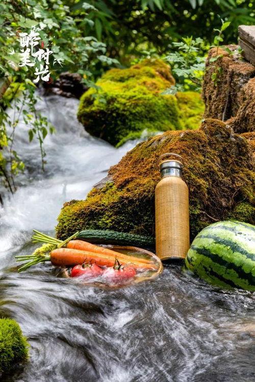 云南丽江吃瓜群众