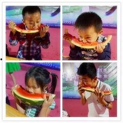 吃瓜大赛搞笑规则,笑料百出，欢乐无限