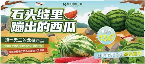 热门大瓜-17吃瓜,娱乐圈风云再起，揭秘明星幕后故事