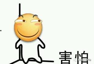 吃瓜的小呆,吃瓜小呆的趣味生活点滴