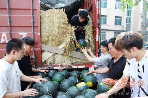 沧州师范学院吃瓜,校园吃瓜文化盛行，揭秘校园生活趣味瞬间