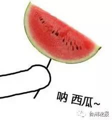西瓜吃瓜小说,一场穿越时空的奇幻冒险之旅