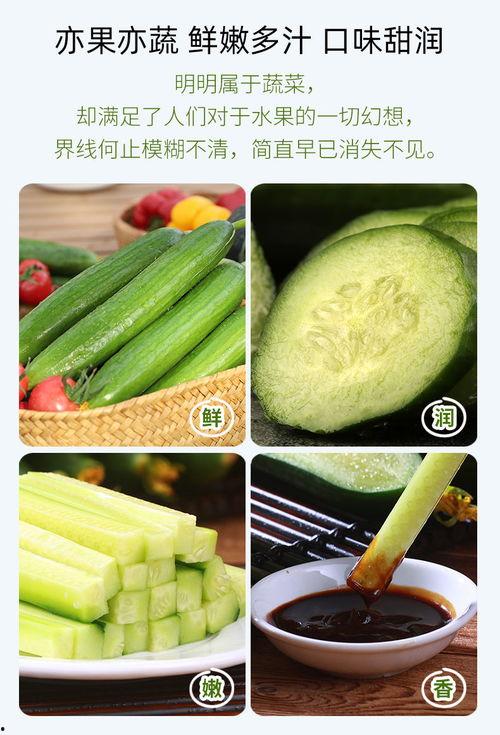 吃小瓜生吃,探索小瓜生吃的独特风味与营养奥秘