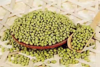 绿豆和小蜜瓜能同时吃,夏日消暑美食新搭配