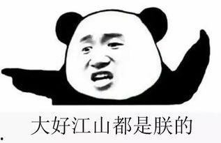 吃瓜群众学历史,吃瓜群众视角下的历史风云录