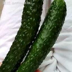 吃货的小瓜,小瓜带你探索美食世界之旅