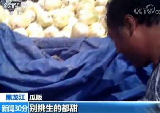 快穿嘎嘎吃瓜,嘎嘎吃瓜，解锁无尽欢乐