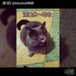 吃瓜主角小可怜,吃瓜主角的悲喜人生