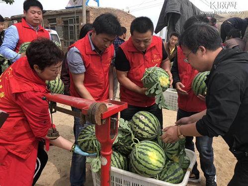 大名县吃瓜事件