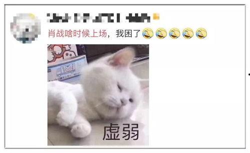 吃瓜调侃段子大全,吃瓜调侃段子大盘点