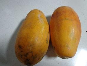 梦里云里吃瓜,一场奇幻的云端美食之旅