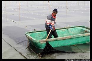 吃瓜渔船拍摄画面,一场别开生面的海上盛宴